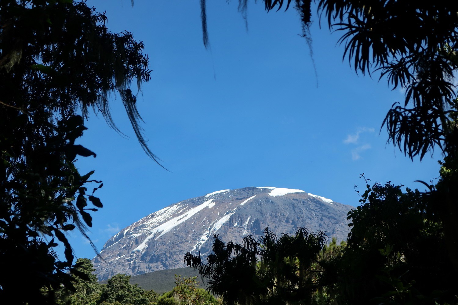 Kilimanjoro seen from the way close to Mweka Camp